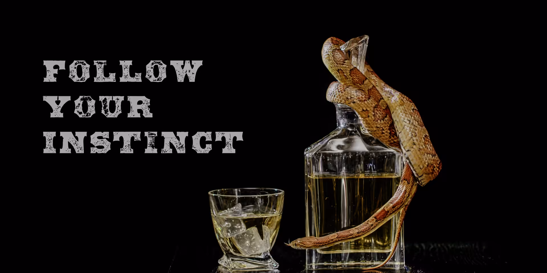 Standbild aus dem Produkt Werbevideo für eine Spirituosen-Marke, das eine lebendige Schlange neben einem Whiskyglas und dem Slogan Markenclaim “Follow your instinct” zeigt